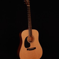 Blueridge BR-40 Lefthand