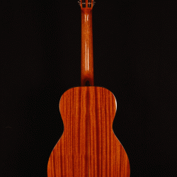 Blueridge BR-341