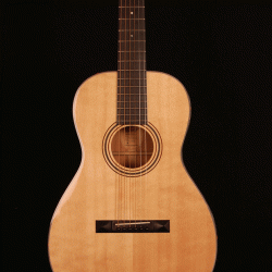 Blueridge BR-341
