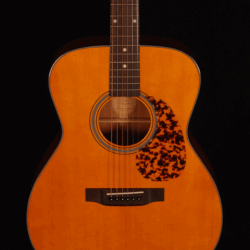 Blueridge BR-143