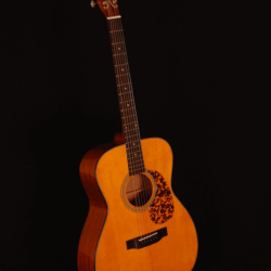Blueridge BR-143