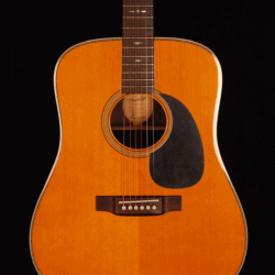 Blueridge BR-160X