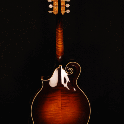 Kentucky Mandolin KM-1500
