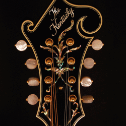 Kentucky Mandolin KM-1500