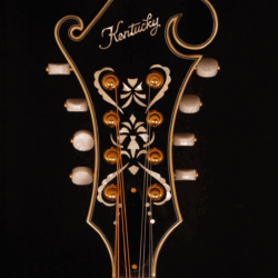 Kentucky Mandolin KM-855