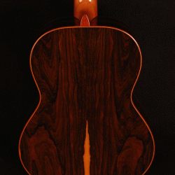 Alhambra Luthier Ziricote 50 Anniversary