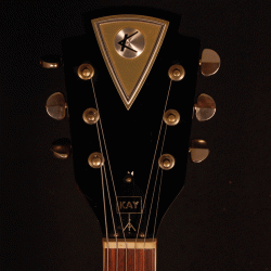 Kay Guitar