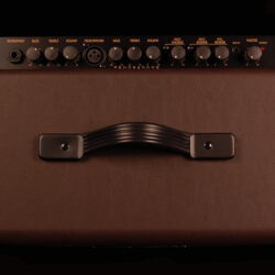 Ibanez Troubadour T30