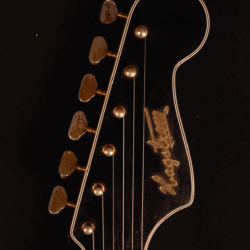 Hagström Guitar