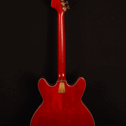 Hagström Guitar