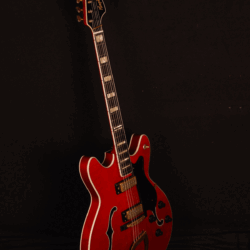 Hagström Guitar