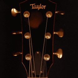 Taylor 514e-FLTD
