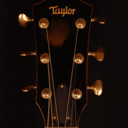 Taylor 514e-FLTD