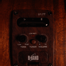 Leho LHUB-ASAK-CE Baritone Ukulele