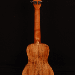Leho LHUC-SMF-TB Concert Ukulele