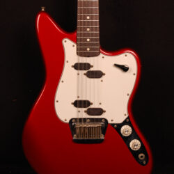 Fender Electric XII 1965