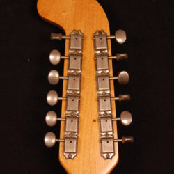 Fender Electric XII 1965
