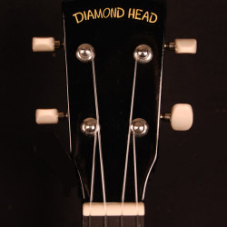 Diamond Head DU-100