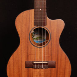 Diamond Head DU-350TCE