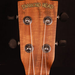 Diamond Head DU-350TCE
