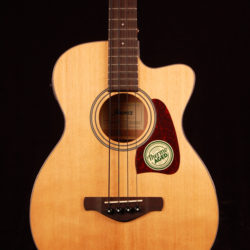 Ibanez AVCB9CE