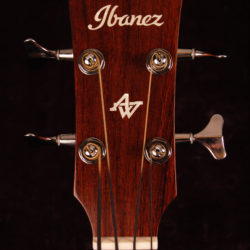 Ibanez AVCB9CE