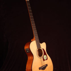 Ibanez AVCB9CE