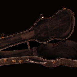 Alhambra Case Classic Guitar