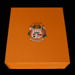 Orange Headphones