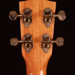 Diamond Head DU-400C