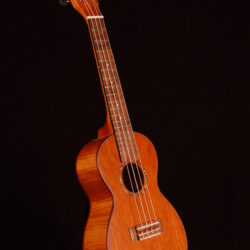 Hamano U-350C