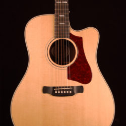 Gibson Hummingbird Rosewood AG