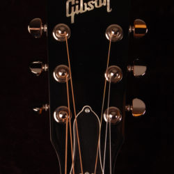 Gibson Hummingbird Rosewood AG