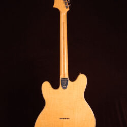Fender Starcaster