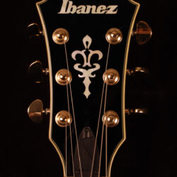 Ibanez AS93 FML