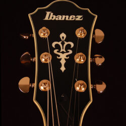 Ibanez AS93ZW-NT