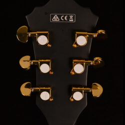 Ibanez AG85