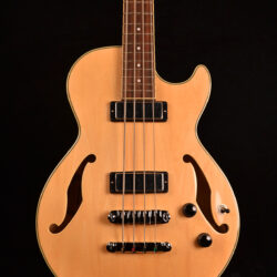Ibanez AGB 200