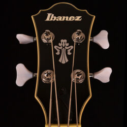 Ibanez AGB 200