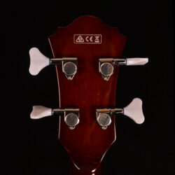 Ibanez AGB 200