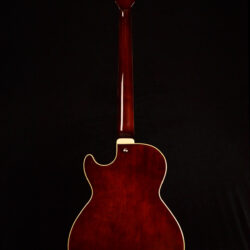 Ibanez AGB 200