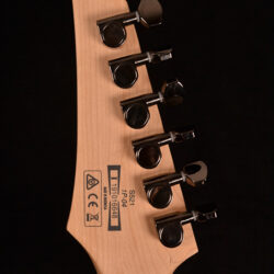 Ibanez S521
