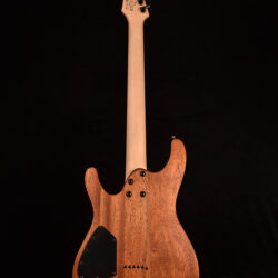 Ibanez S521