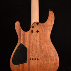 Ibanez S521