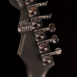 Reverend Rick Vito Signature Soulshaker