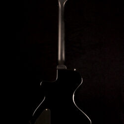 Reverend Rick Vito Signature Soulshaker