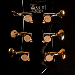 Ibanez JSM100 John Scofield