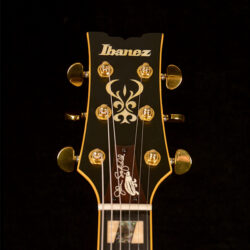 Ibanez JSM20