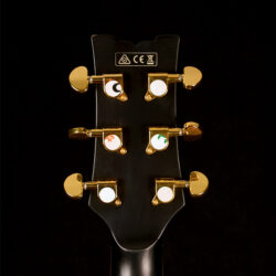 Ibanez JSM20