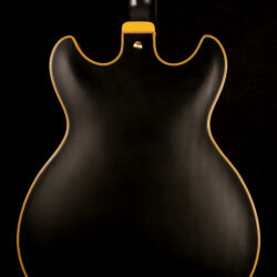 Ibanez JSM20